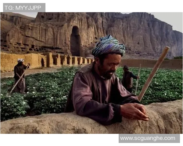 谢什科：探寻这位传奇人物背后的故事与影响力