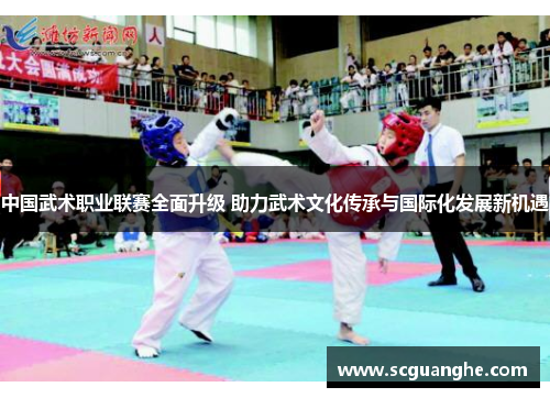 中国武术职业联赛全面升级 助力武术文化传承与国际化发展新机遇