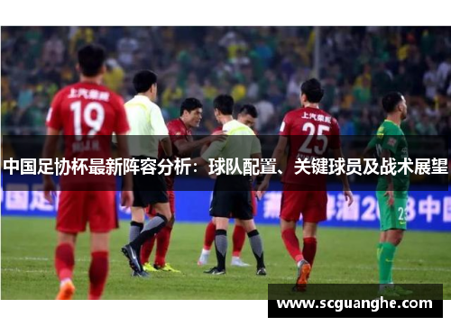 中国足协杯最新阵容分析：球队配置、关键球员及战术展望