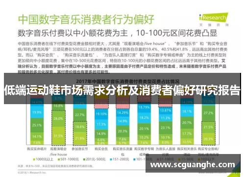 低端运动鞋市场需求分析及消费者偏好研究报告