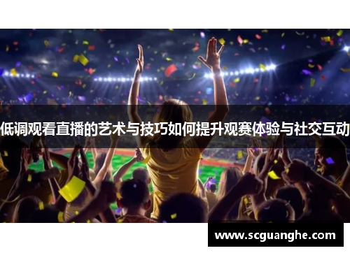 低调观看直播的艺术与技巧如何提升观赛体验与社交互动