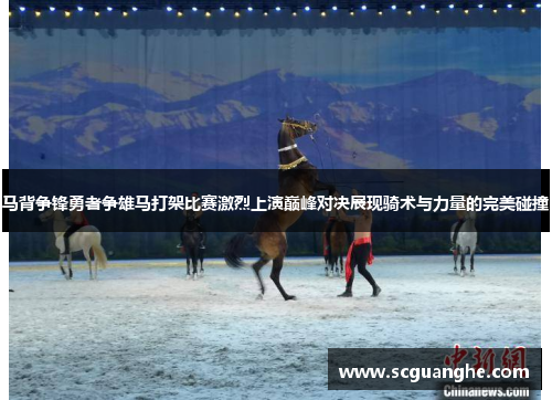 马背争锋勇者争雄马打架比赛激烈上演巅峰对决展现骑术与力量的完美碰撞